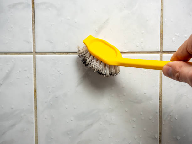 Best Mold Cleaning Services  in Conway Springs, KS
