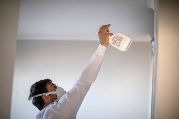Best Commercial Mold Removal  in Conway Springs, KS