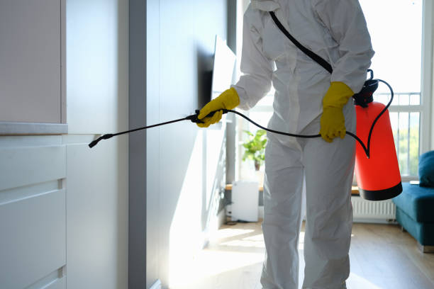Best Residential Mold Removal  in Conway Springs, KS