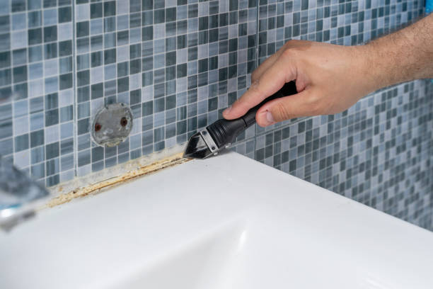 Best Home Mold Removal  in Conway Springs, KS