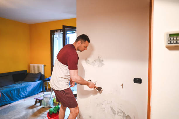 Best Mold Removal and Inspection  in Conway Springs, KS