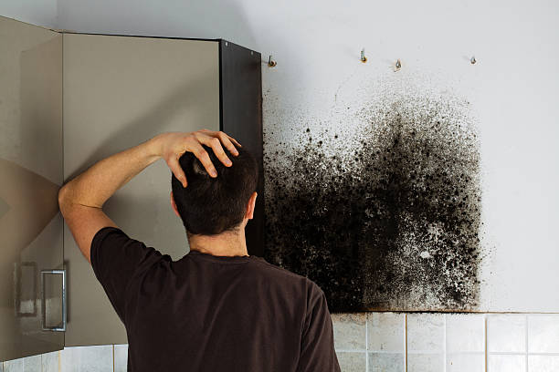 Crawl Space Mold Removal in Conway Springs, KS
